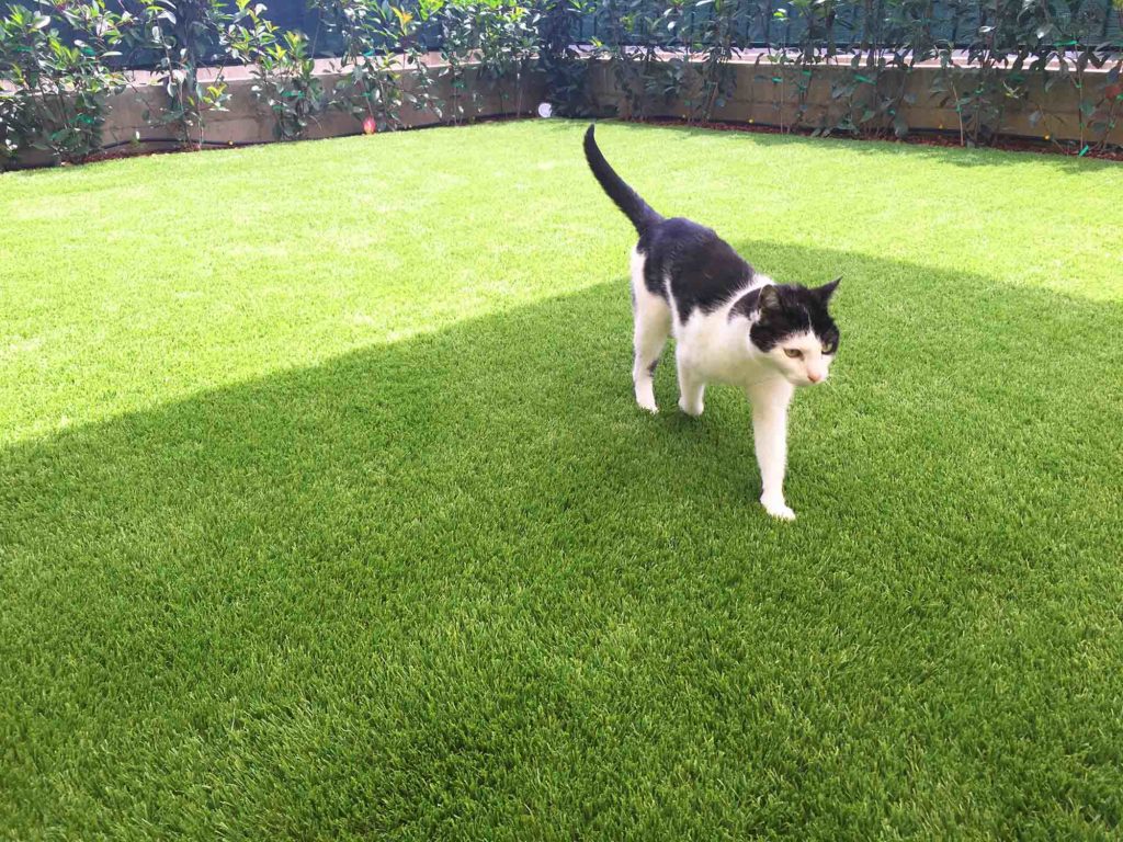 Installazione erba sintetica su giardino residenziale con bordure e aiuole