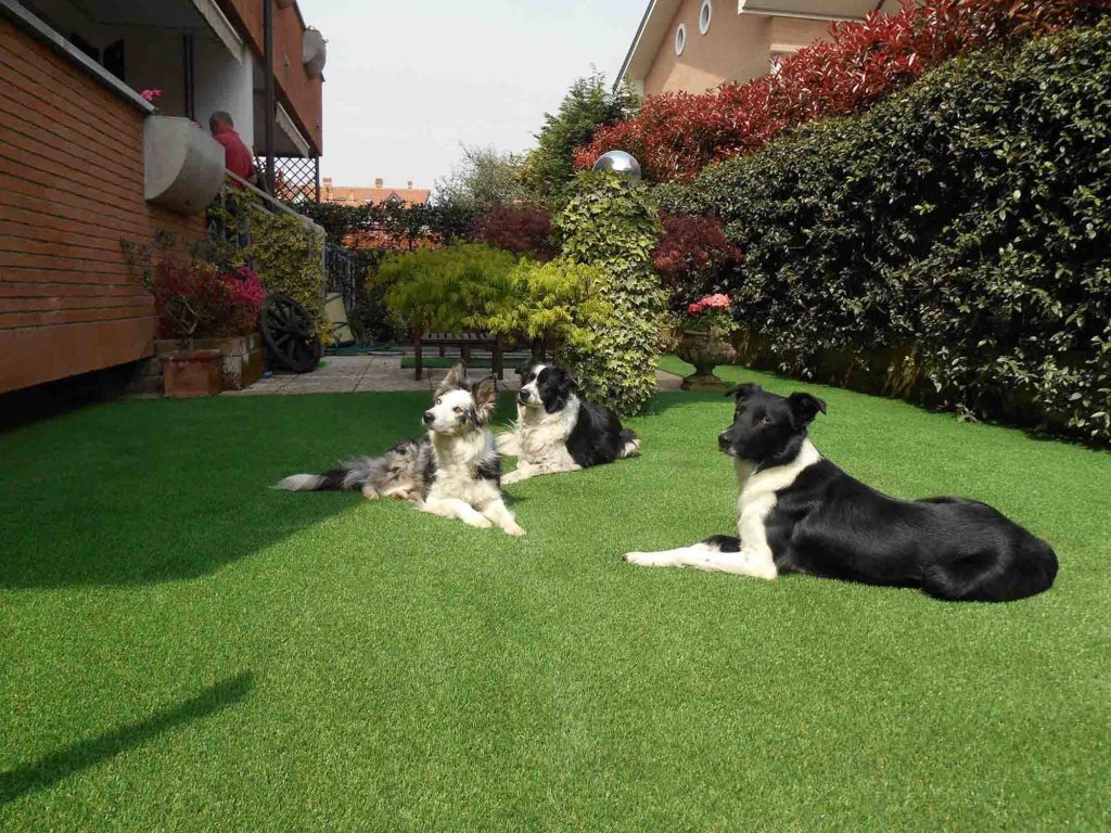 Area gioco asilo con erba sintetica antitrauma per bambini