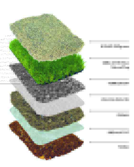 Erba sintetica SintPet sicura per cani e gatti Geo-Green